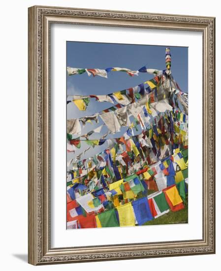 Buddhist Prayer Flags, Mcleod Ganj, Dharamsala, Himachal Pradesh State, India, Asia-Jochen Schlenker-Framed Photographic Print