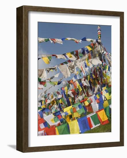 Buddhist Prayer Flags, Mcleod Ganj, Dharamsala, Himachal Pradesh State, India, Asia-Jochen Schlenker-Framed Photographic Print