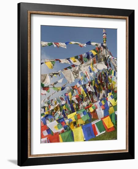 Buddhist Prayer Flags, Mcleod Ganj, Dharamsala, Himachal Pradesh State, India, Asia-Jochen Schlenker-Framed Photographic Print