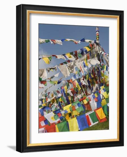 Buddhist Prayer Flags, Mcleod Ganj, Dharamsala, Himachal Pradesh State, India, Asia-Jochen Schlenker-Framed Photographic Print