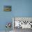 Buddhist Prayer Flags, Samye Monastery, Tibet, China-Gavin Hellier-Photographic Print displayed on a wall