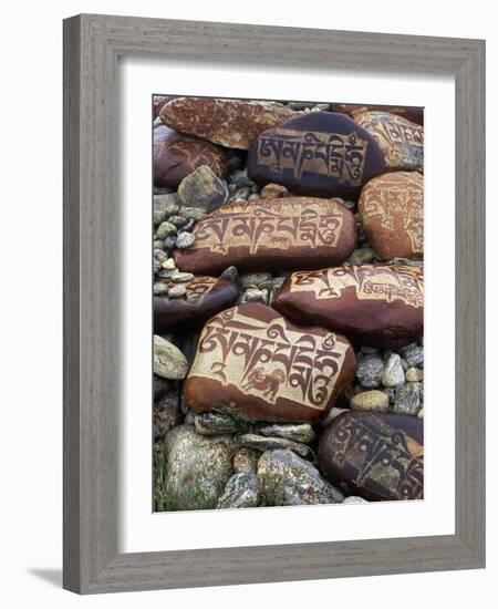 Buddhist Prayers on Carved Mani Stones in Tibet-Craig Lovell-Framed Photographic Print