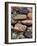 Buddhist Prayers on Carved Mani Stones in Tibet-Craig Lovell-Framed Photographic Print