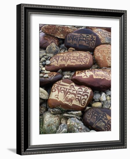 Buddhist Prayers on Carved Mani Stones in Tibet-Craig Lovell-Framed Photographic Print