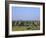 Buddhist Temples, Bagan (Pagan) Archaeological Site, Myanmar (Burma), Asia-Sergio Pitamitz-Framed Photographic Print