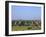 Buddhist Temples, Bagan (Pagan) Archaeological Site, Myanmar (Burma), Asia-Sergio Pitamitz-Framed Photographic Print