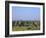 Buddhist Temples, Bagan (Pagan) Archaeological Site, Myanmar (Burma), Asia-Sergio Pitamitz-Framed Photographic Print