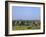 Buddhist Temples, Bagan (Pagan) Archaeological Site, Myanmar (Burma), Asia-Sergio Pitamitz-Framed Photographic Print