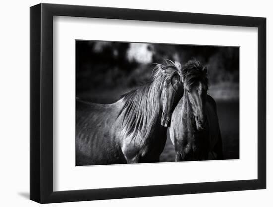 Buddies-Aledanda-Framed Photographic Print