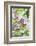 Budding lilac bush, USA-Lisa Engelbrecht-Framed Photographic Print