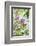 Budding lilac bush, USA-Lisa Engelbrecht-Framed Photographic Print