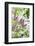 Budding lilac bush, USA-Lisa Engelbrecht-Framed Photographic Print