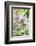 Budding lilac bush, USA-Lisa Engelbrecht-Framed Photographic Print