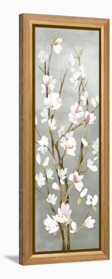 Budding Magnolia II-Asia Jensen-Framed Stretched Canvas