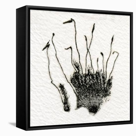 Budding Moss, 2014-Bella Larsson-Framed Premier Image Canvas