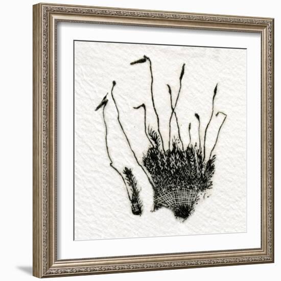 Budding Moss, 2014-Bella Larsson-Framed Giclee Print