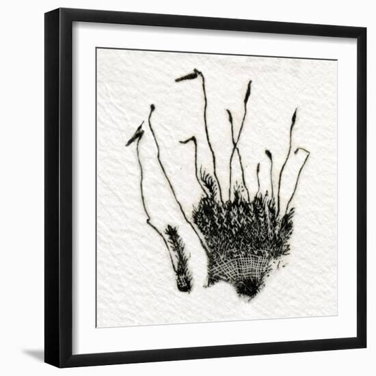 Budding Moss, 2014-Bella Larsson-Framed Giclee Print