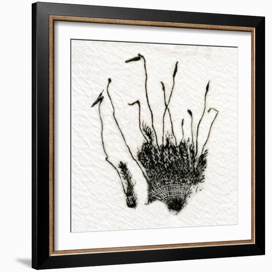 Budding Moss, 2014-Bella Larsson-Framed Giclee Print