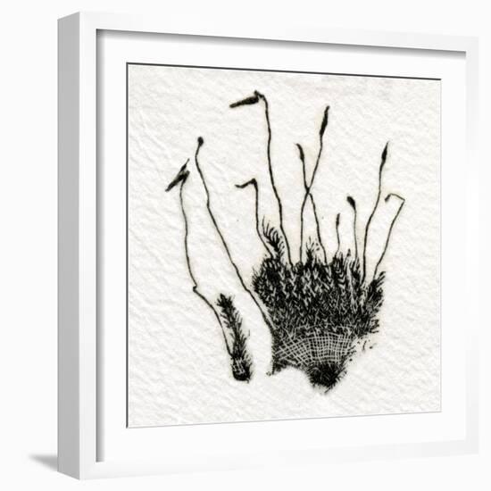 Budding Moss, 2014-Bella Larsson-Framed Giclee Print