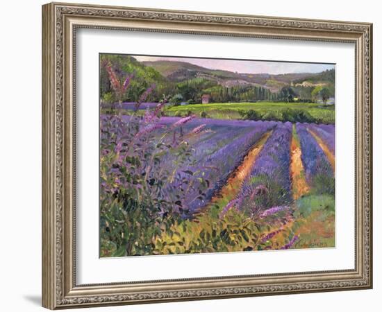 Buddleia and Lavender Field, Montclus, 1993-Timothy Easton-Framed Giclee Print