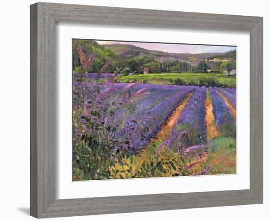 Buddleia and Lavender Field, Montclus, 1993-Timothy Easton-Framed Giclee Print