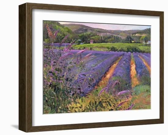 Buddleia and Lavender Field, Montclus, 1993-Timothy Easton-Framed Giclee Print