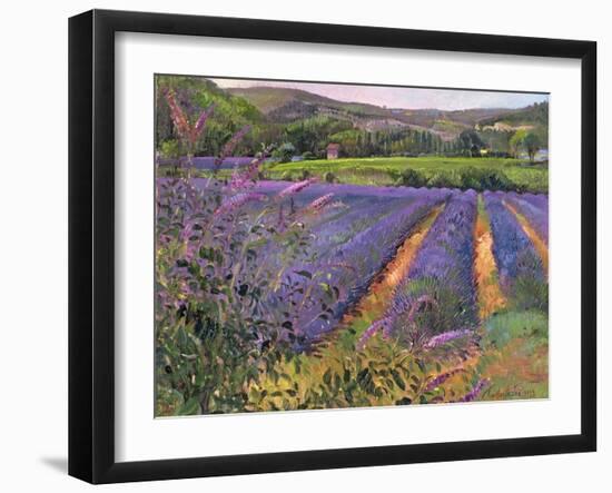 Buddleia and Lavender Field, Montclus, 1993-Timothy Easton-Framed Giclee Print