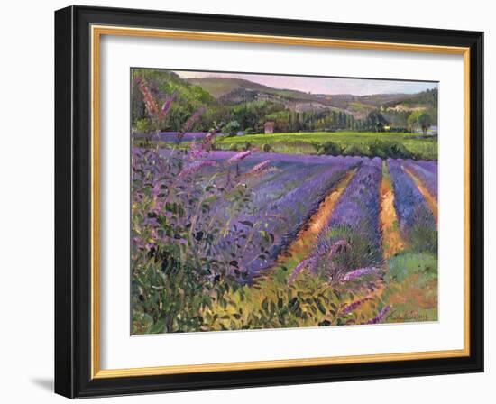 Buddleia and Lavender Field, Montclus, 1993-Timothy Easton-Framed Giclee Print