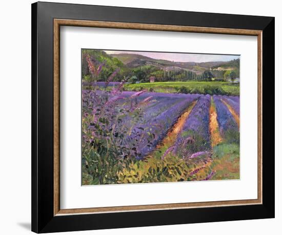 Buddleia and Lavender Field, Montclus, 1993-Timothy Easton-Framed Giclee Print