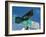 Buddy Holly Avenue, Lubbock, Texas, USA-Ethel Davies-Framed Photographic Print