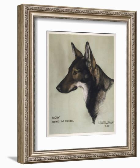 Buddy Seeing Eye-null-Framed Art Print