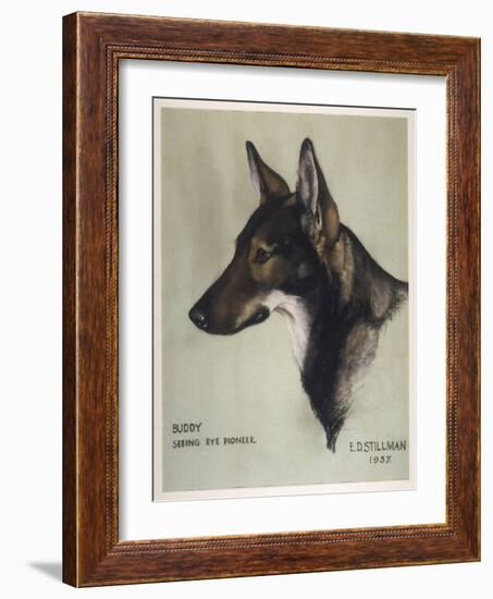 Buddy Seeing Eye-null-Framed Art Print