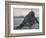 'Bude - The Chapel Rock', 1895-Unknown-Framed Photographic Print