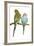Budgerigars Two on Perch-null-Framed Photographic Print