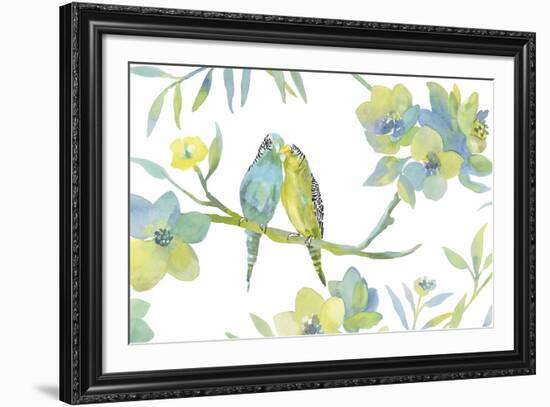 Budgie Love-Sandra Jacobs-Framed Giclee Print