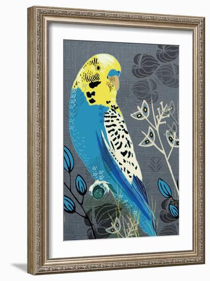 Budgie-Rocket 68-Framed Giclee Print