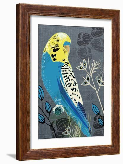 Budgie-Rocket 68-Framed Giclee Print