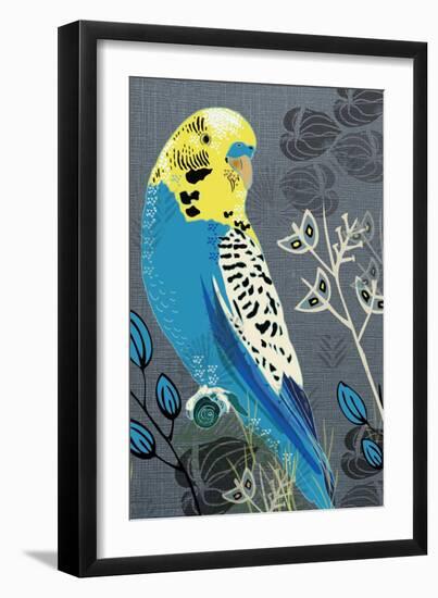 Budgie-Rocket 68-Framed Giclee Print