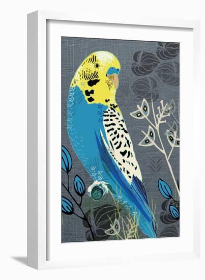 Budgie-Rocket 68-Framed Giclee Print