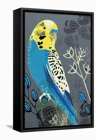 Budgie-Rocket 68-Framed Premier Image Canvas