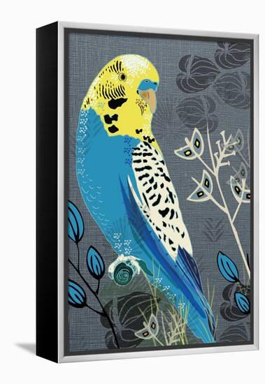 Budgie-Rocket 68-Framed Premier Image Canvas