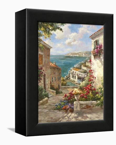 Buena Vista II-Paline-Framed Stretched Canvas