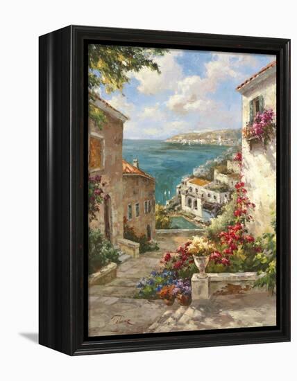 Buena Vista II-Paline-Framed Stretched Canvas