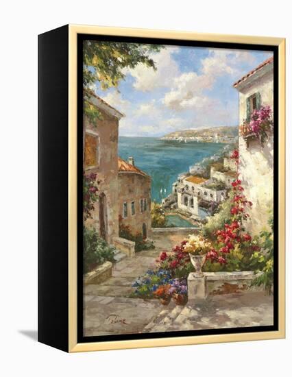 Buena Vista II-Paline-Framed Stretched Canvas