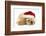 Buff American Cocker Spaniel Puppy, China, 10 Weeks Old, Asleep Wearing a Father Christmas Hat-Mark Taylor-Framed Photographic Print