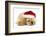 Buff American Cocker Spaniel Puppy, China, 10 Weeks Old, Asleep Wearing a Father Christmas Hat-Mark Taylor-Framed Photographic Print