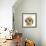 Buff American Cocker Spaniel Puppy, China, 10 Weeks-Mark Taylor-Framed Photographic Print displayed on a wall