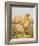 Buff Cochin Hen, "Blossom"-J^ W^ Ludlow-Framed Premium Giclee Print