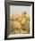 Buff Cochin Hen, "Blossom"-J^ W^ Ludlow-Framed Premium Giclee Print