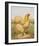 Buff Cochin Hen, "Blossom"-J^ W^ Ludlow-Framed Premium Giclee Print